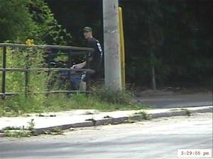 stalk3-05.jpg