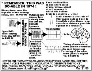 voice to skull 1974.jpg