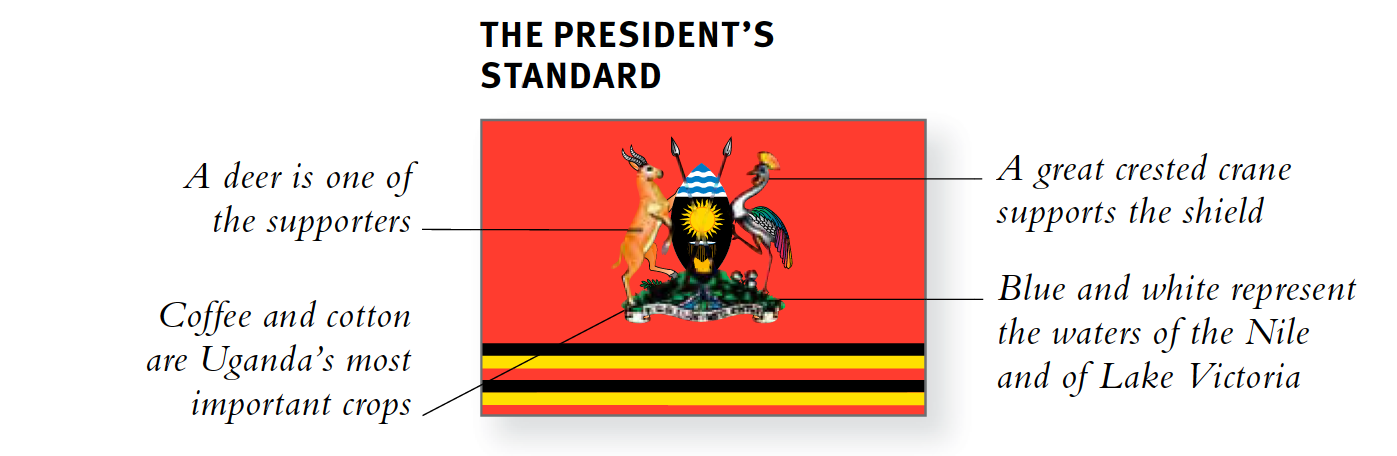 grafik.png