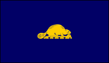 grafik.png